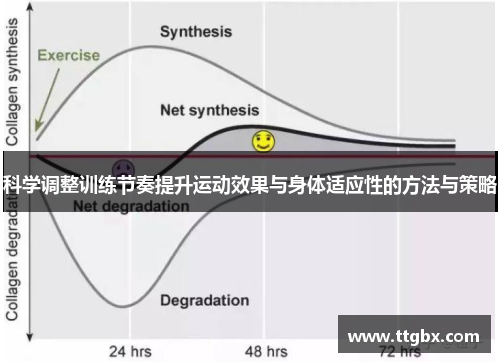 科学调整训练节奏提升运动效果与身体适应性的方法与策略