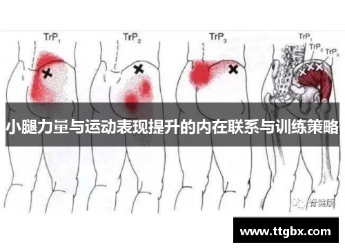 小腿力量与运动表现提升的内在联系与训练策略