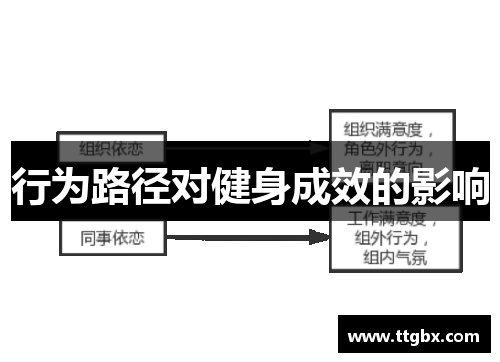 行为路径对健身成效的影响